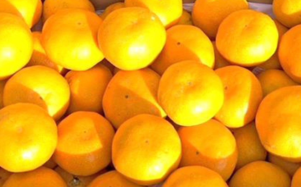まちなが家族農園の完熟みかん 5kg