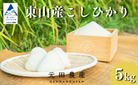 コシヒカリ 精米 5㎏ 令和7年産 コシヒカリ こしひかり 元田農産