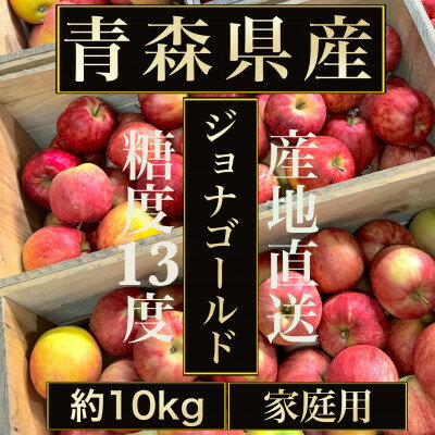 【ふるさと納税】【青森の誇り】青森直送ジョナゴールドりんご約10kg(家庭用/訳あり)【配送不可地域：離島】【1740133】