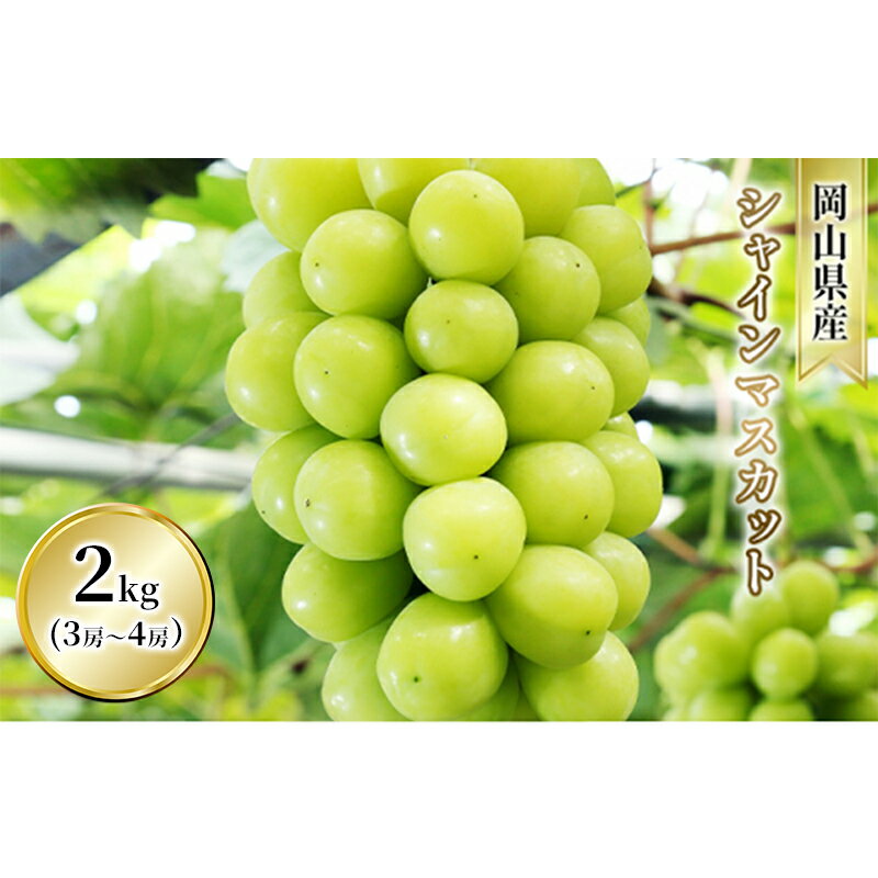 【ふるさと納税】ぶどう シャインマスカット 2kg 3房～4房 1房 約500g～600g 葡萄 フルーツ 岡山 高梁市産 赤迫農園 2025年 先行予約　お届け：2025年10月上旬～2025年10月下旬