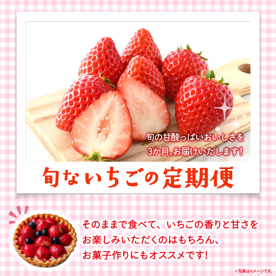 【定期便】いちご3ヶ月連続お届け便 （250g×4パック）×3回　【2027年1月から発送開始】（茨城県共通返礼品 [いちご]：城里町産） | 果物 フルーツ イチゴ 苺 白いちご とちおとめ 紅ほっ