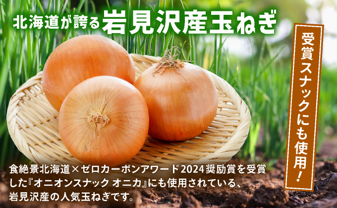岩見沢産「平井康之さん家のたまねぎ」M玉 2.5kg【食絶景北海道×ゼロカーボンアワード2024 奨励賞『オニオンスナック オニカ』で使用】たまねぎ 玉葱 タマネギ 産地 まとめ買い 贈り物 甘い 野