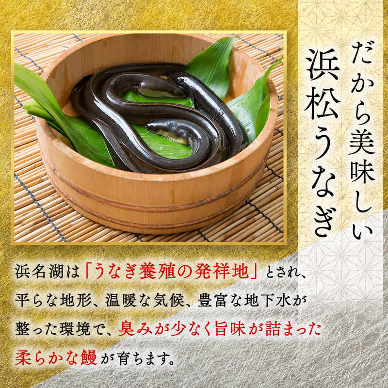 お食事券 うなぎ 浜松市24店舗で使える 6000円 食事券 補助券 チケット レストラン 料理屋 鰻 ウナギ 丑の日 土用の丑の日 静岡 静岡県 浜松市 