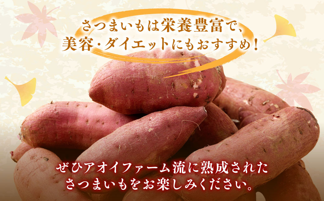【 訳あり 】“熟成” 茨城県産 神栖市産 さつまいも 【 紅はるか 】 約10kg