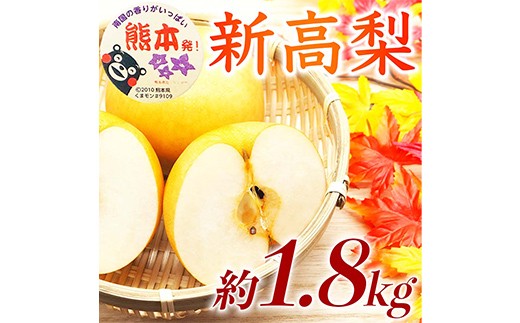 
                  FKP9-733 新高梨 1.8kg ナシ 梨 果物 くだもの フルーツ
                