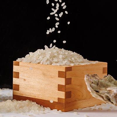 ふるさと納税 津山市 【令和7年産】岡山県産　かき殻米　白米10kg |  | 02