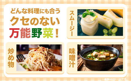 パパイヤ  5kg ゆいやわす《9月下旬-12月中旬頃出荷予定》