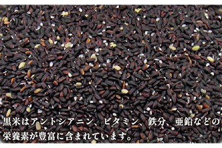 古代米　壱岐原の辻遺跡　黒米1kg、赤米1kg、緑米1kg[JDB126]