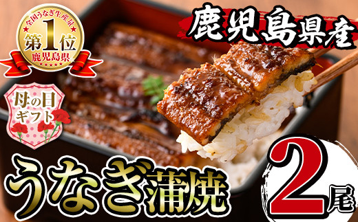
                  i505-m 【母の日ギフト】鹿児島県産うなぎ蒲焼2尾セット(約140g×2・計約280g) うなぎ 鰻 ウナギ 2尾 蒲焼き 国産 鹿児島県産 焼きたて 生産量日本一 真空パック おかず 晩御飯 特別な日 母の日 プレゼント ギフト 贈答 【薩摩川内鰻】
                