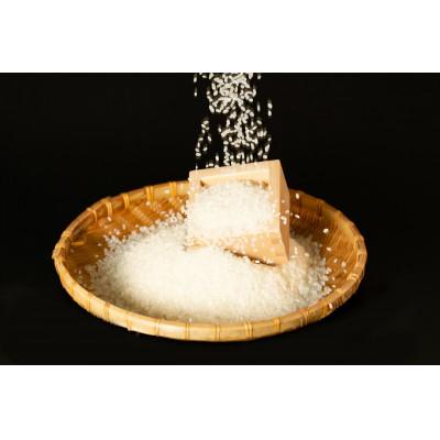 ふるさと納税 芦別市 【令和8年産先行受付】北海道芦別産農家直送のゆめぴりか5kg&ななつぼし5kg(計10kg) |  | 02