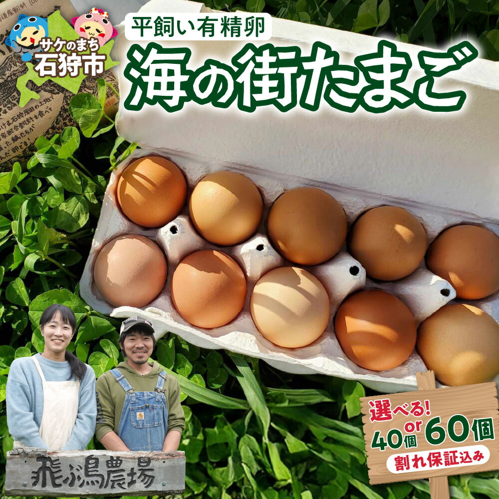 【ふるさと納税】《レビューキャンペーン》 飛ぶ鳥農場 海の街たまご 【 選べる 個数 】 40個 60個 北海道産 卵 玉子 タマゴ 鶏卵 生卵 有精卵 新鮮 安心 黄身 朝食 卵かけご飯 お菓子 スイーツ パンケーキ プリン 北海道 石狩市