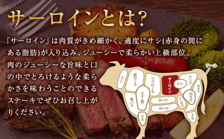 ステーキ 赤身 牛肉 サーロインステーキ 肉 あか牛 小分け 熊本県産 500g 赤牛《30日以内に出荷予定(土日祝除く)》---mna_faksir_30d_r8_13500_500g---
