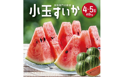小玉すいか 約8kg 4～5玉 山形県庄内産 7月上旬～8月上旬頃お届け スイカ 西瓜 小玉 果物 くだもの フルーツ 東北 山形県 庄内 夏 赤 木川果実店　SC0686
