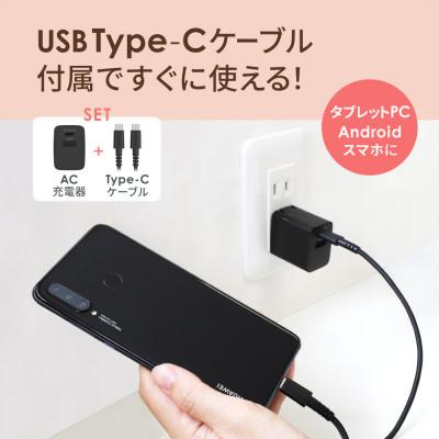 ふるさと納税 海老名市 (オウルテック)超タフType-Cケーブル & PD対応AC充電器のセット ホワイト |  | 02