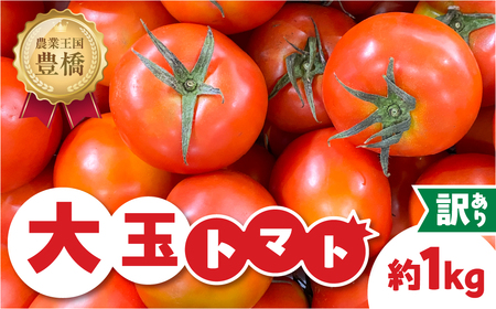 訳ありトマト 約1kg とまと トマト tomato 野菜 甘み サンドイッチ サラダ 訳あり 訳アリ わけあり ワケアリ 規格外 旬 旬の野菜 健康 愛知県 豊橋市