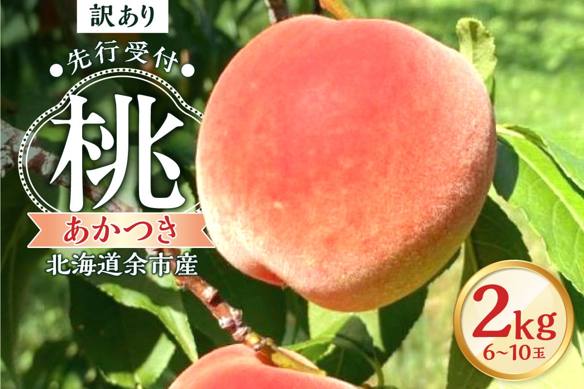 
            【先行予約2025年8月下旬より発送】＜北海道余市産＞訳アリ 桃「あかつき」2kg（6～10玉）
          