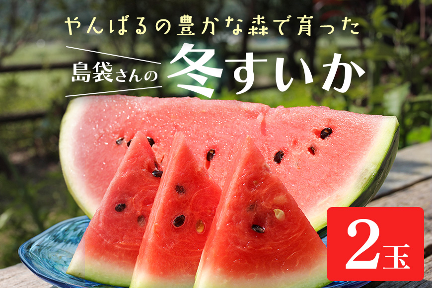 【2025年発送 先行予約】島袋さんの冬スイカ《4～5Kg×２玉》	