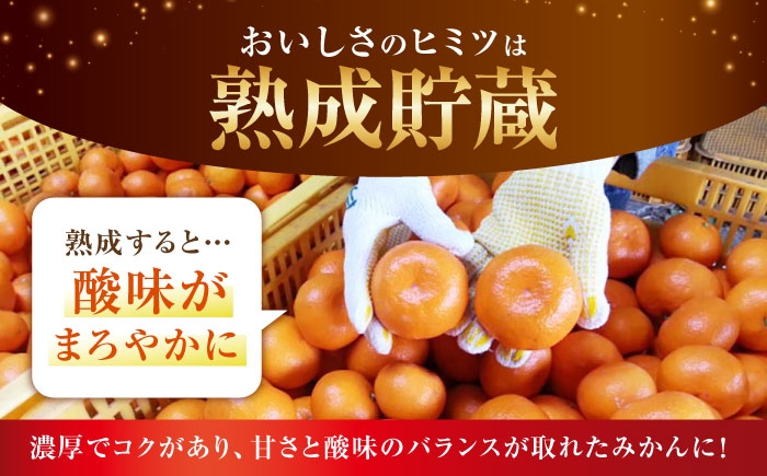 【全2回定期便】旬のフルーツ定期便（みかん・いちご） 果物 くだもの フルーツ いちご 苺 イチゴ みかん ミカン 定期 贈答