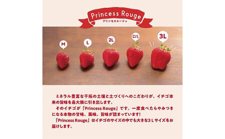 紅白いちご2品種食べ比べセット 400g　いちご