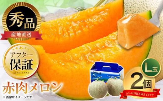 
                  【26年発送先行予約】北海道 秀品 赤肉メロン L玉×2個 (2026年7月発送開始予定) 【 果物 くだもの フルーツ メロン 赤肉 赤肉メロン 旬 お取り寄せ 甘い 北海道産 旭川市 北海道 】_00112
                