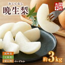 【ふるさと納税】【先行予約】梨 晩生梨（新興・王秋・ 愛宕）3kg（5～9玉）10月中旬から12月下旬にかけて発送 梨の一大産地香住からお届け 大人気 ふるさと納税 返礼品 おすすめ ランキング 兵庫県 香美町 香住 国産 果物 フルーツ なし 和梨 贈答 先行予約 梨 9000円