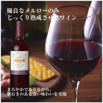 ふるさと納税 南魚沼市 ドメーヌ・越後メルロー  赤 750ml 越後ワイナリー 辛口 ミディアムボディ 魚沼ワイン 南魚沼 |  | 01