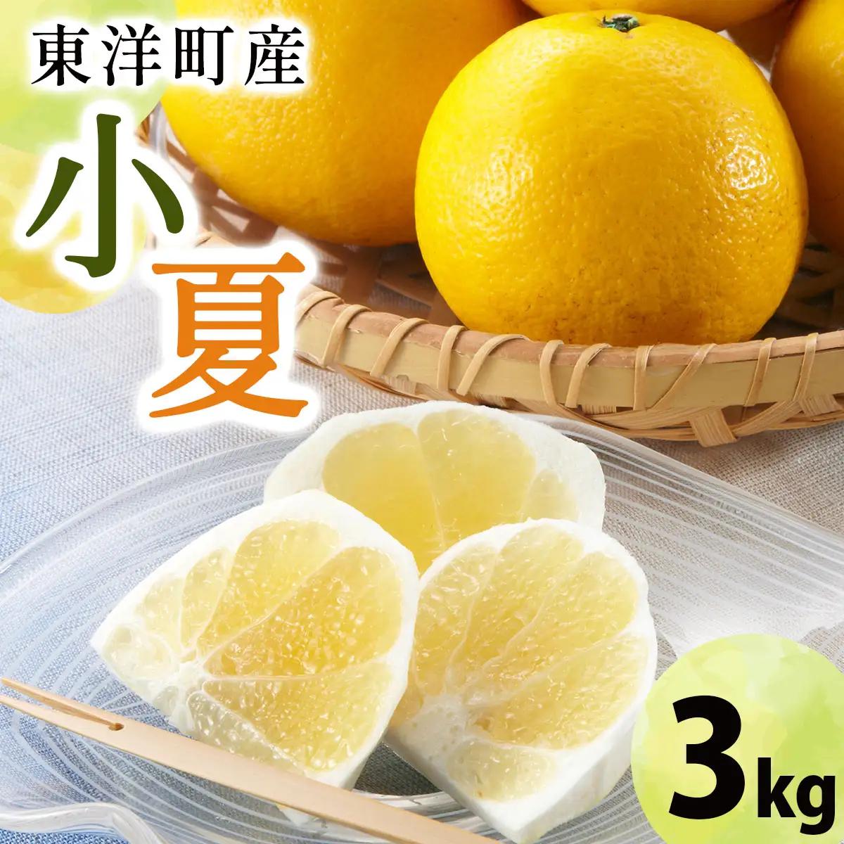小夏　3kg　TA15 　【田中農園】