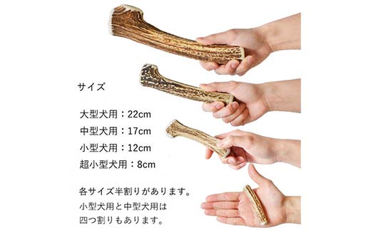エゾ鹿の角ガム 17cm 中型犬用 四つ割り 4個 北海道産 国産 無添加 犬用ガム 天然鹿角 長持ち デンタルケア ペット おやつ F5F-0071
