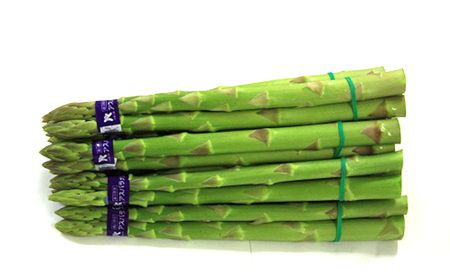 アスパラガス 早出し さぬきのめざめ 春芽 約800g 期間限定 アスパラ グリーンアスパラ 野菜 旬 旬の野菜 季節の野菜 産地直送 香川 香川県 丸亀 丸亀市 冷蔵 冷蔵配送 先行 予約 2025