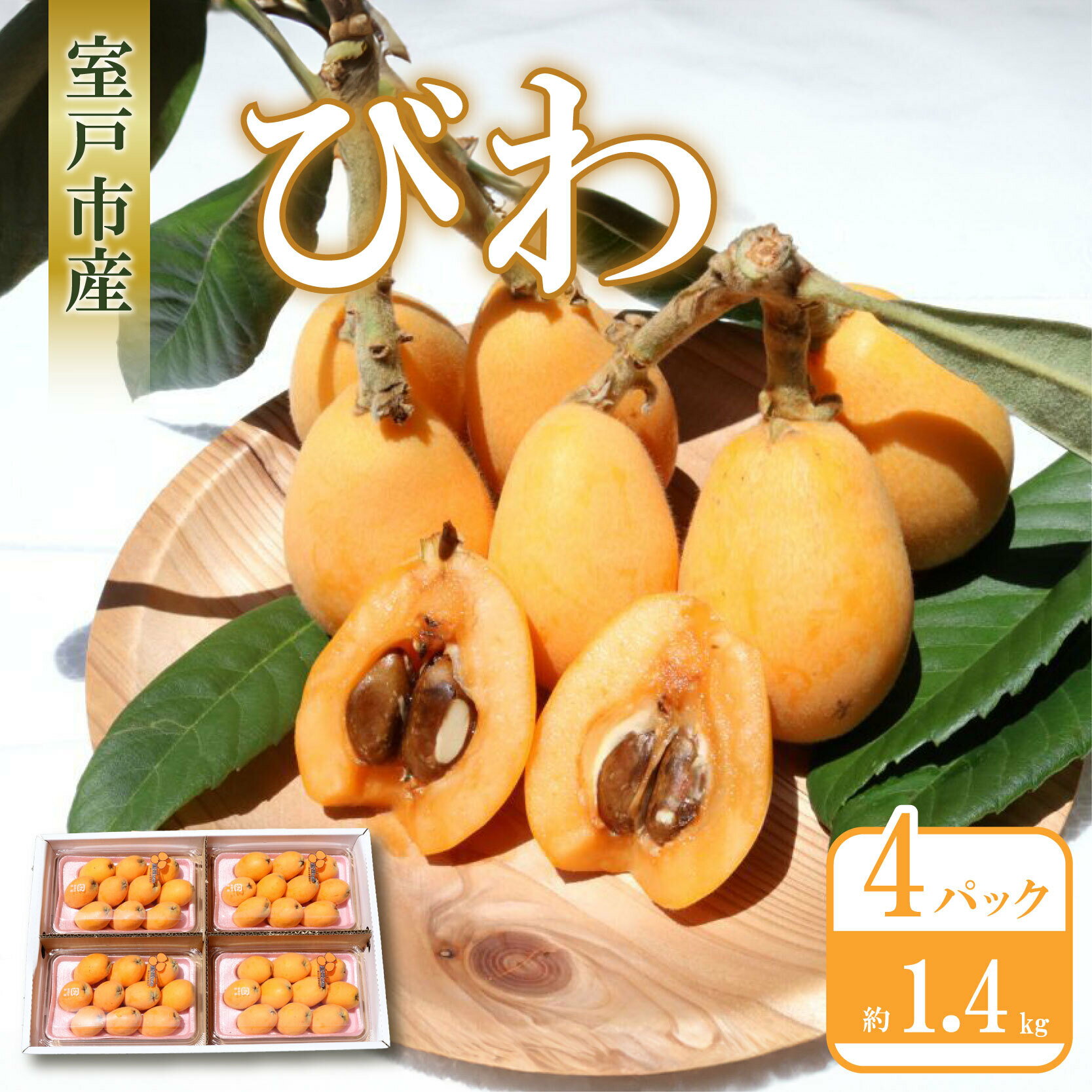 【ふるさと納税】 期間限定 びわ 4パック 約1.4kg なつたより 茂木 枇杷 ビワ フルーツ 果物 大玉 母の日 数量限定 旬 果実 初夏 季節 送料無料 高知 贈答