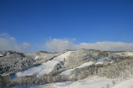 【Asahi自然観】スノーパーク リフト1日券 2025-2026シーズン スキーリフト券 山形県 朝日町 スポーツ スキー場 スキー場リフト券 スキー スノボ