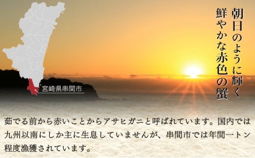 【先行予約】＜2026年11月より順次発送予定＞宮崎県串間市産 特大アサヒガニ2kg_K027-015-02