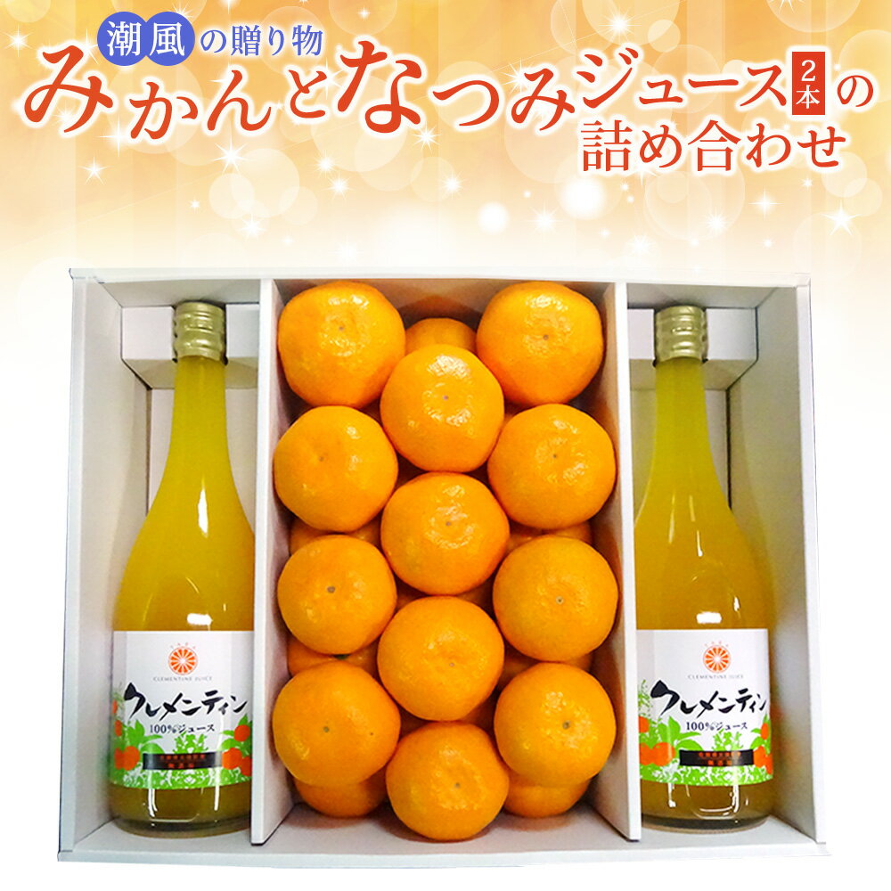 【ふるさと納税】N-89 潮風の贈り物〜みかんとなつみジュース（2本）の詰め合わせ〜 みかん 24玉 なつみ 720ml 潮風みかん 森川柑橘園 太良町 太良みかん 温州 こだわりの栽培方法 100％ジュース みかんジュース 詰め合わせ ミカン 蜜柑 フルーツ くだもの 果物 国産 贈答用