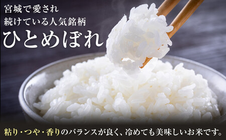 【6回定期便】宮城県産ひとめぼれ【無洗米】　5kg×1袋