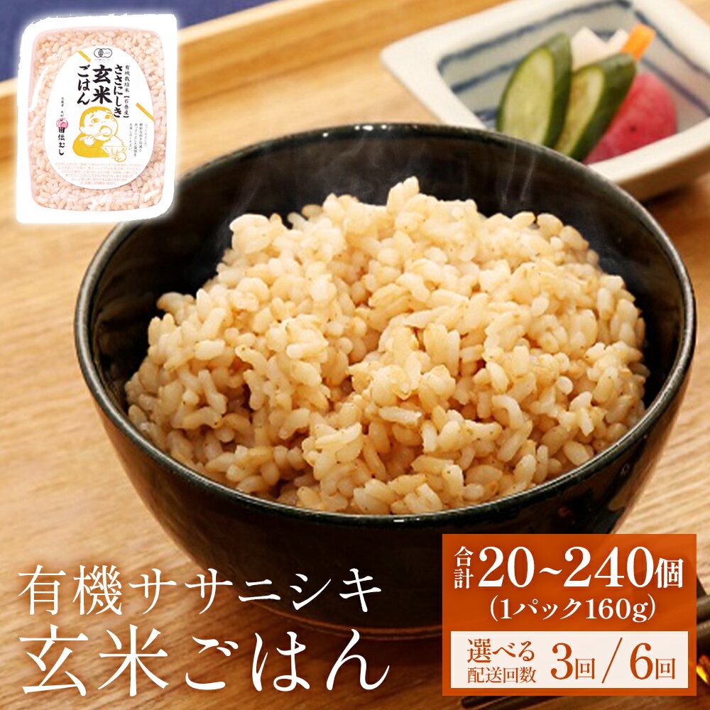 【ふるさと納税】＜定期便＞ ご飯パック 玄米 有機ササニシキ ごはん 160g × 20個 or 40個 配送回数が選べる 3回 6回 毎月 定期 宮城県産 レトルト パックご飯 ごはんパック 有機玄米 電子レンジ 温めるだけ 長期保存 保存食 非常食 災害 米 玄米食 農薬不使用 宮城 石巻市