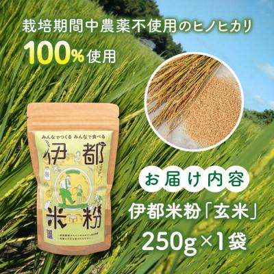 ふるさと納税 糸島市 伊都 米粉 玄米 250g フルタク グルテンフリー 米 [AHN004] |  | 03
