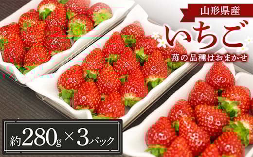 山形県産 いちご (苺の品種はおまかせ) 約280g×3パック【1月中旬から順次発送】 FSY-1227