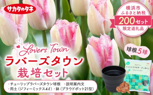 
                  横浜限定チューリップ　ラバーズタウン栽培セット　株式会社サカタのタネ
                