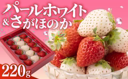 【先行予約】【農家直送】いちご食べ比べ！『さがほのか』と『パールホワイト』220g 化粧箱入り 【ハヤシダファーム】 いちご 苺 イチゴ しろいちご 白苺 希少 しろ 白 さがほのか 食べ比べ フルーツ 果物 甘い あまい  アフター対応 アフターフォロー 期間限定 産地直送 国産 佐賀県産 さがいちご 九州 佐賀県 白石町  白石 [IAQ004]