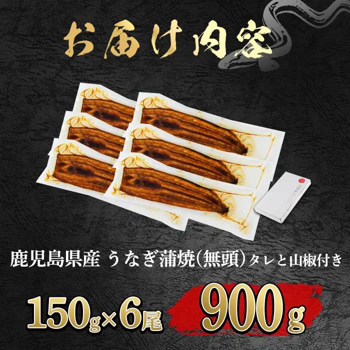 【0304349a-2609】＜9月上旬発送予定＞東串良町のうなぎ蒲焼(無頭)(6尾・計約900g・タレ、山椒付) うなぎ 高級 ウナギ 鰻 国産 蒲焼 蒲焼き たれ 鹿児島 ふるさと 人気 【アクア