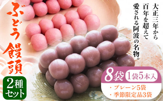 ぶどう饅頭 2種セット 8袋入り 有限会社日乃出本店 《30日以内に出荷予定(土日祝除く)》 徳島県 阿波 ブドウ 饅頭 飴 自家製あん プレーン 季節限定品老舗 和菓子 剣山 穴吹川 贈り物 衛生的 個包装 環境保護 品質保持 st-p