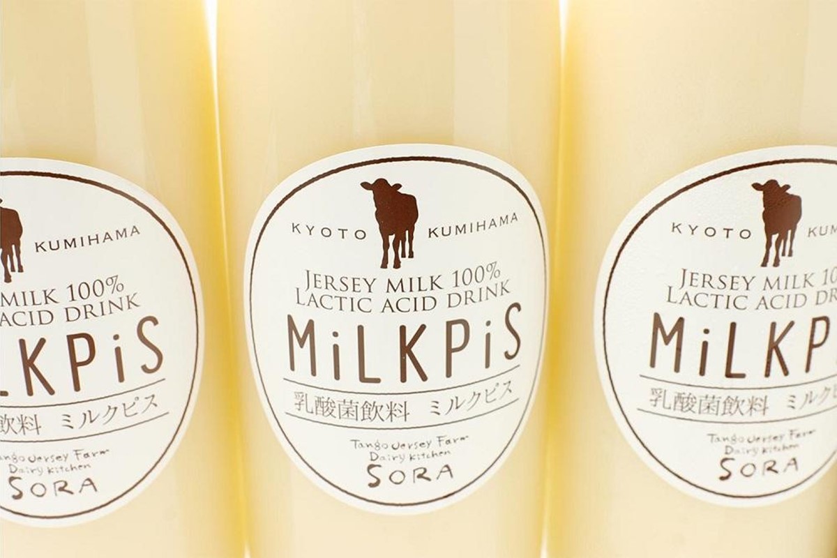 ジャージーミルクピス(500ml×4本セット)化粧箱入  ミルクピス乳製品丹後ジャージー牧場ミルク工房そらジャージー牛乳の美味しさ広がる乳酸菌ドリンク乳酸菌飲料　TJ00017