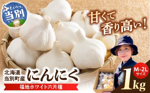 【令和8年先行受付】にんにく（福地ホワイト六片種）1kg 《2026年8月上旬-9下旬頃出荷予定》にんにく ニンニク 乾燥にんにく 国産にんにく 北海道にんにく