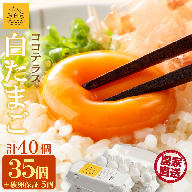 【ふるさと納税】ココテラスの朝日（ 白たまご ）35個 + 5個保証【計40個】【 JGAP認証 】農家直送 新鮮 卵 純植物性飼料 飼料にこだわった 卵かけご飯 米たまご 大容量 送料無料