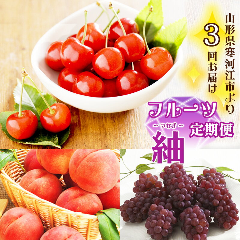 【ふるさと納税】3回定期便 令和7年産「フルーツ 定期便 紬（つむぎ）」 【2025年6月上旬頃から発送開始予定】 2025年産／ 果物 さくらんぼ 佐藤錦 白桃 ぶどう 種無し デラウエア 秀 希少 果実 国産 フルーツ定期便 山形 限定