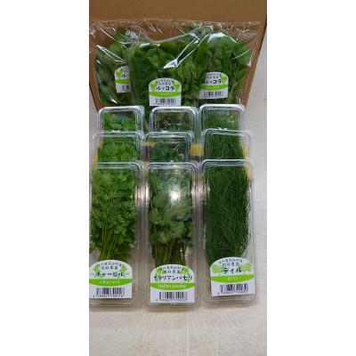 ふるさと納税 高山村 フレッシュハーブの詰め合わせギフト |  | 01