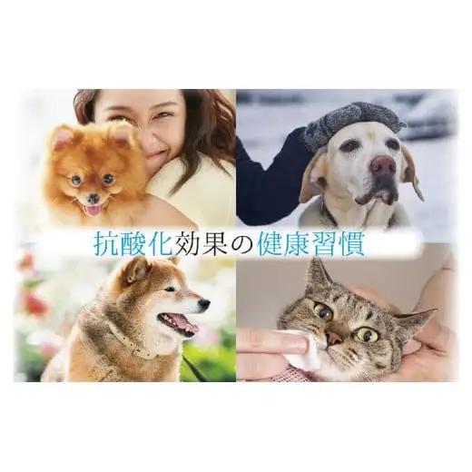 アニマルペットシータラクト 60カプセル入り×2箱 スーパーシータラクト　1箱 90カプセル入り 株式会社ＩＮＳ|サプリメント 健康 健康食品 ペット 犬猫用 免疫 関節 腰 ビタミン 乳酸菌 三重県