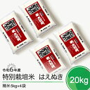 【ふるさと納税】 米 新米 令和6年産 はえぬき20kg 大石田町産 特別栽培米 精米 送料無料 ※沖縄・離島への配送不可