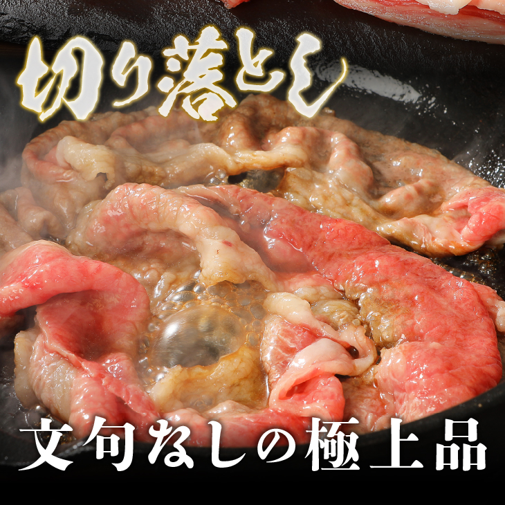 前沢牛切り落としスライス(500g) ブランド牛肉 離島配送不可 [U0040]