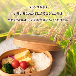 令和7年産米 土浦市産 コシヒカリ 精米5kg◇ ｜ 茨城県土浦市のお米が収穫される旧新治村地区は、ホタルが舞うのどかな里です コシヒカリ 米 精米 白米 5kg お弁当 もちもち 国産 送料無料 ブ